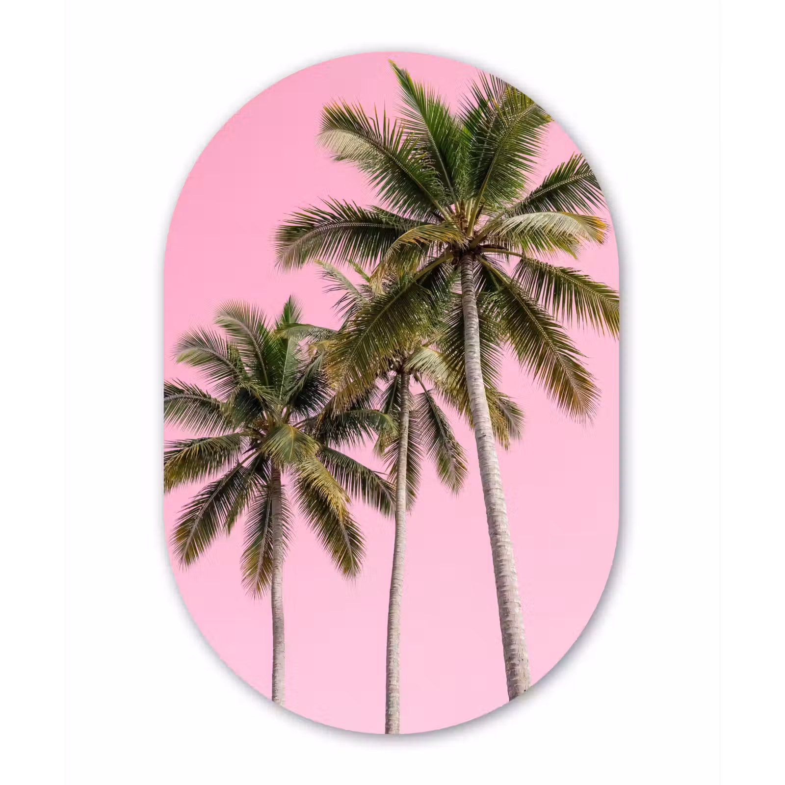 Muurovaal aluminium - Palmboom - Tropisch - Pink — 1