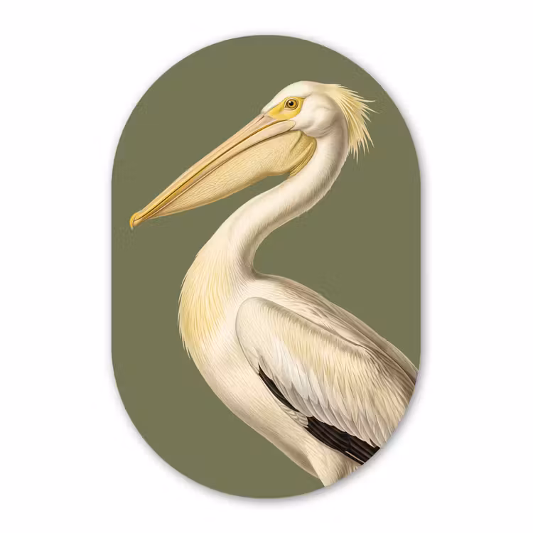 Muurovaal aluminium - Pelikaan - Wit - Vogel - Klassiek - Natuur — 1