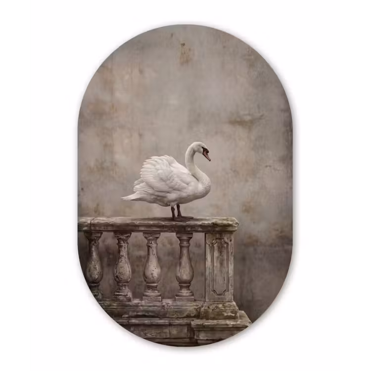 Muurovaal aluminium - Zwaan - Elegant - Dieren - Wit — 1