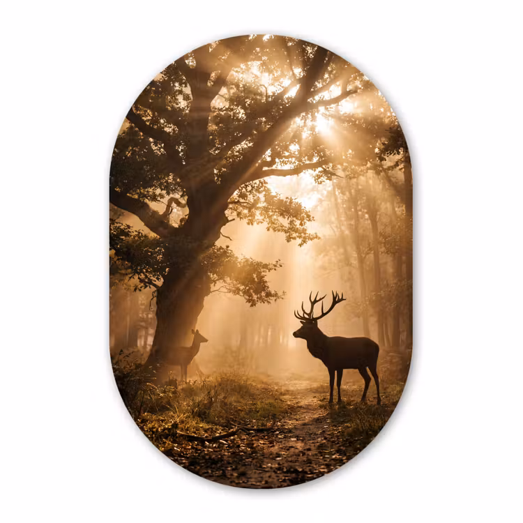 Muurovaal aluminium - Hert - Bos - Mistig - Natuur - Goud — 1
