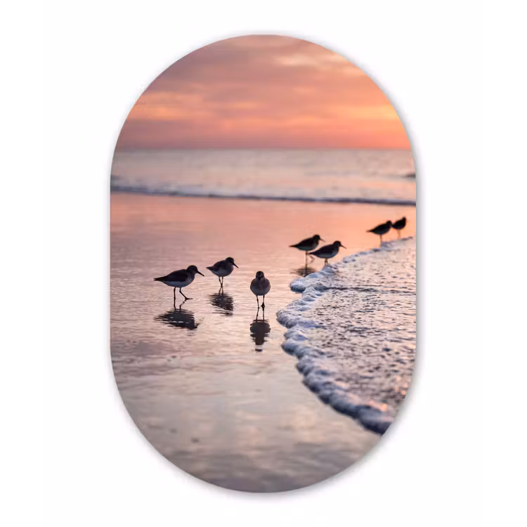 Muurovaal aluminium - Meeuwen - Strand - Zee - Roze — 1