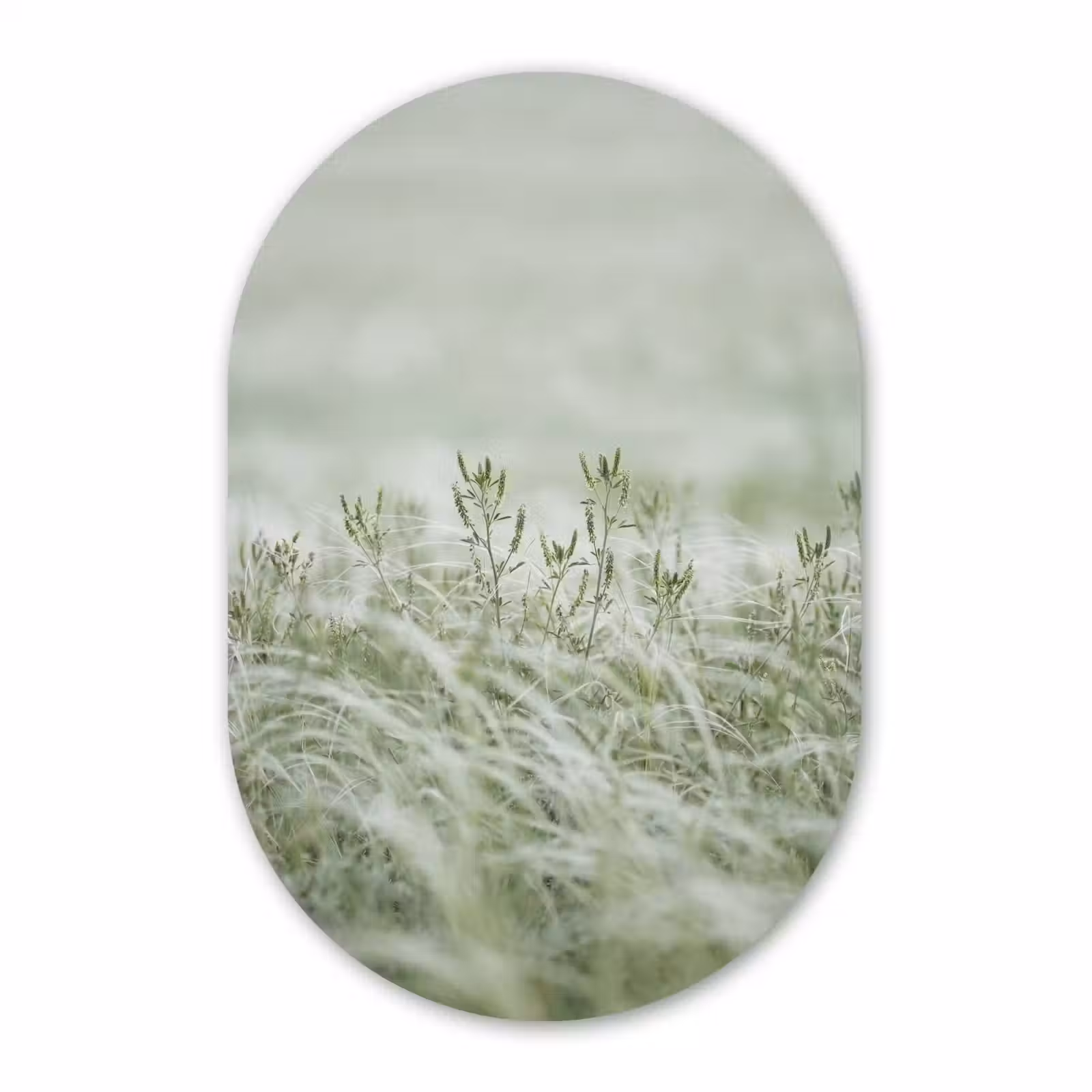 Muurovaal aluminium - Grassen - Minimalistisch - Groen — 1