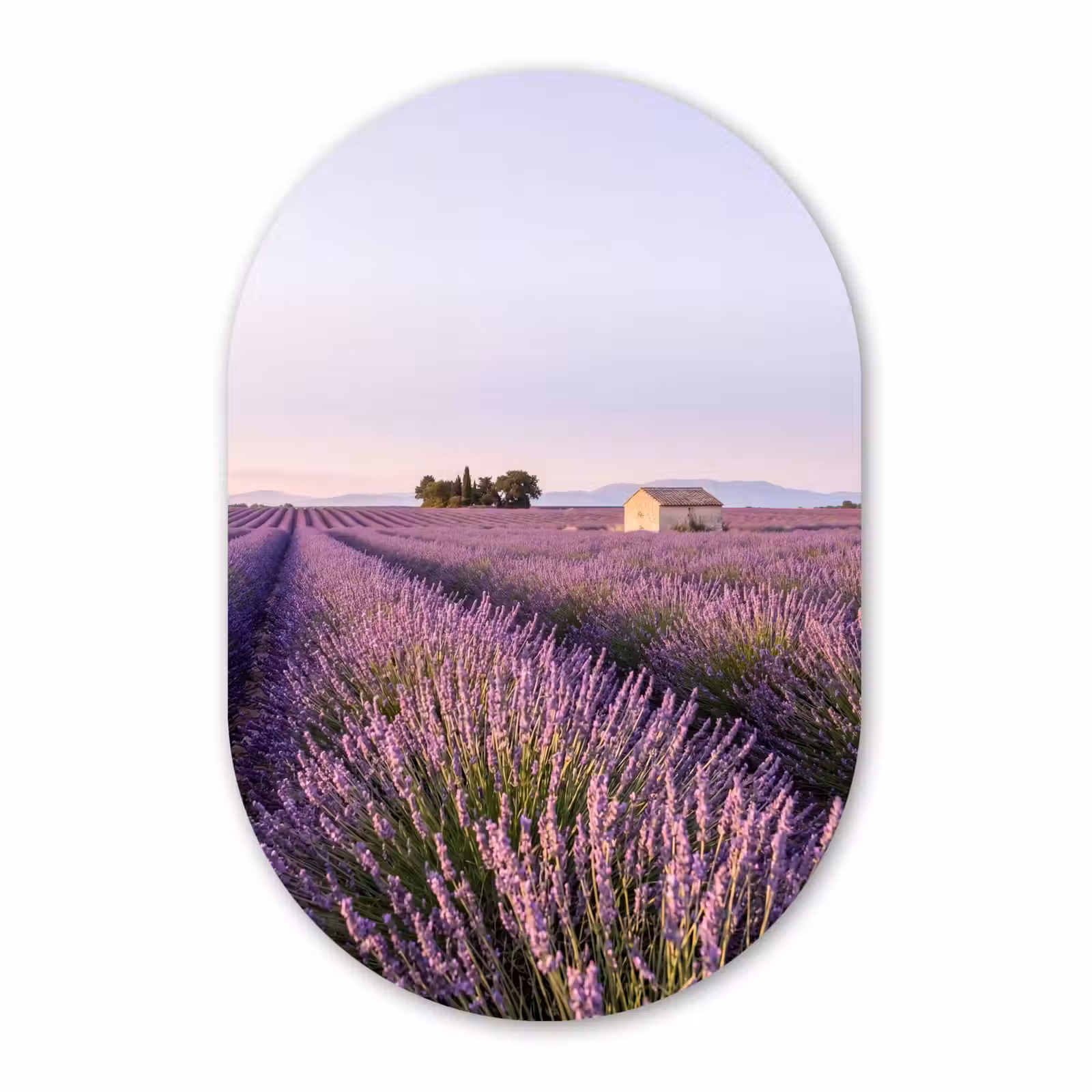 Muurovaal aluminium - Lavendel - Landschap - Sereen - Paars — 1