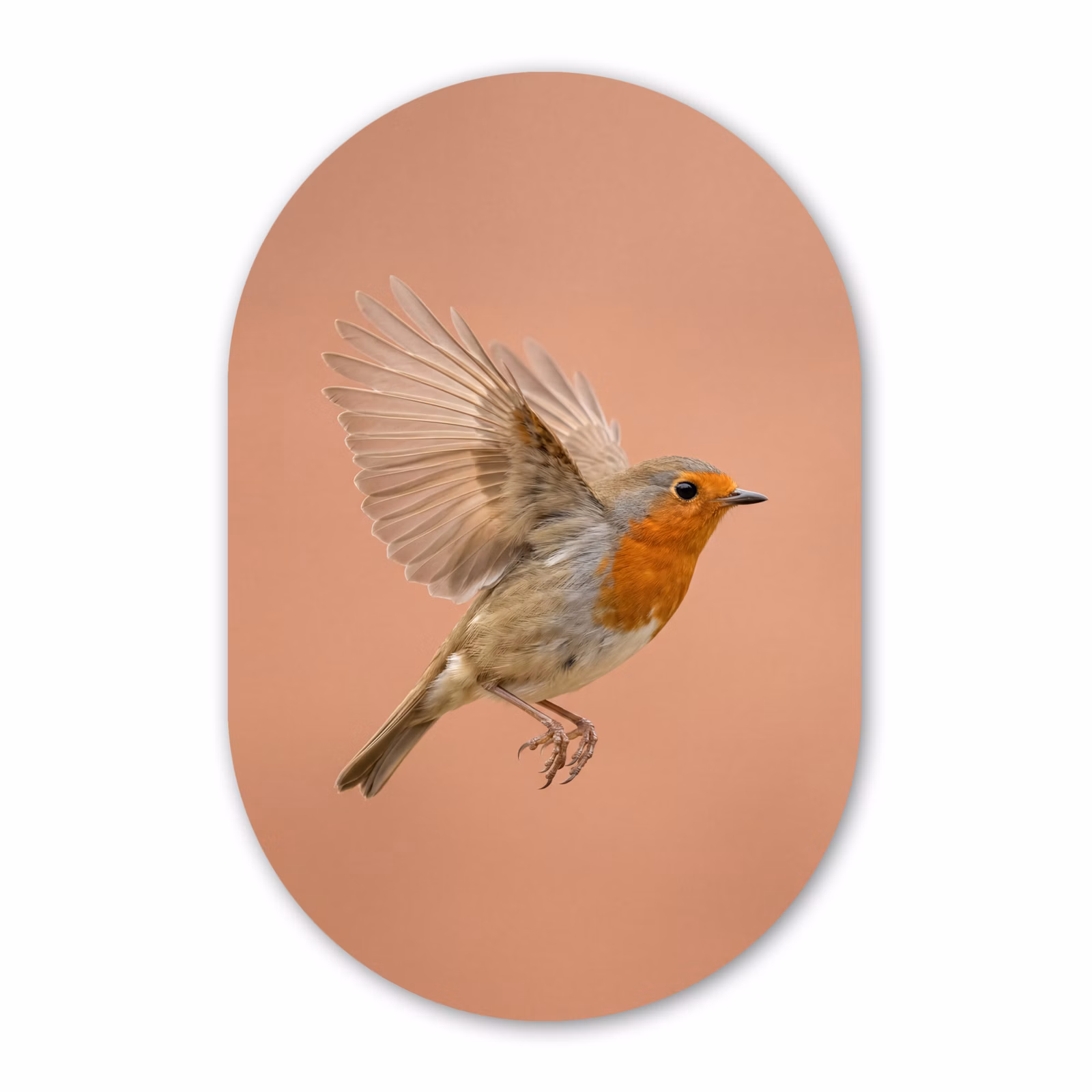 Muurovaal aluminium - Roodborst - Natuur - Roze — 1
