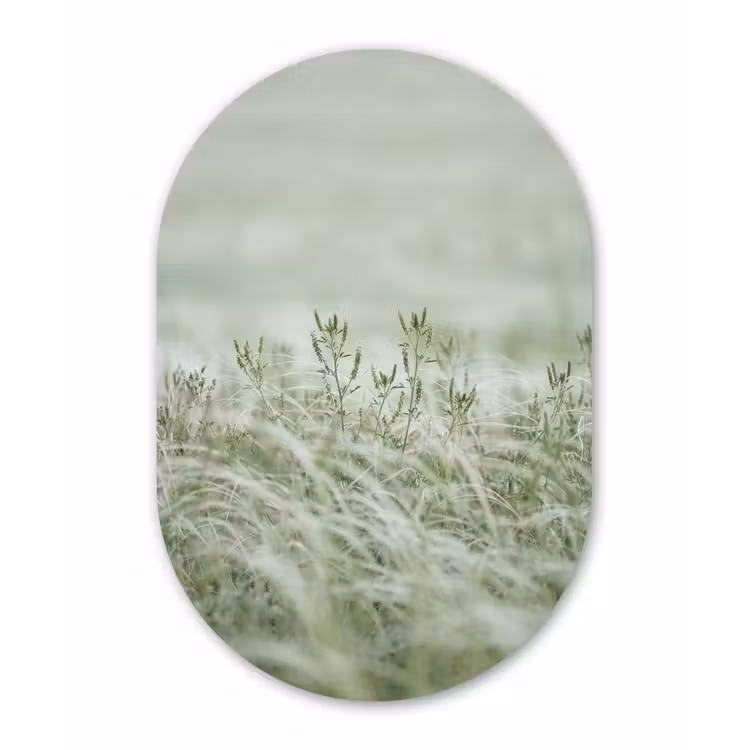 Muurovaal aluminium - Grassen - Minimalistisch - Groen — 1