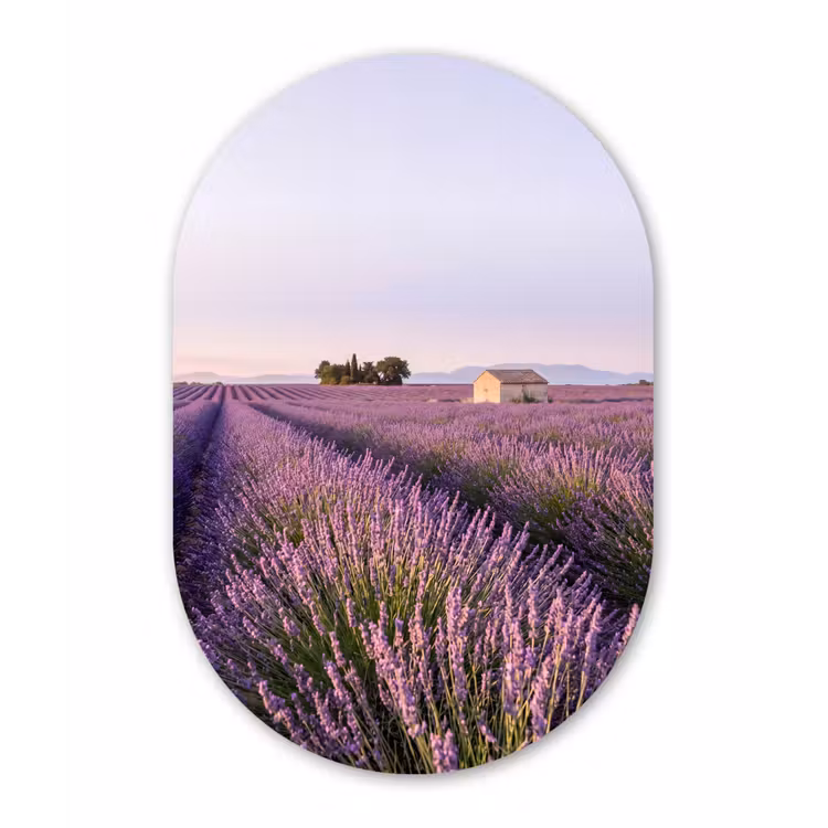 Muurovaal aluminium - Lavendel - Landschap - Sereen - Paars — 1
