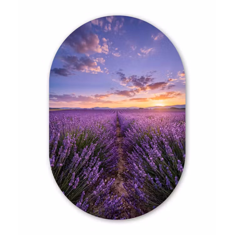 Muurovaal aluminium - Lavendel - Veld - Natuur - Paars — 1