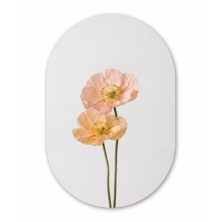 Muurovaal aluminium - Papavers - Botanisch - Roze — 1