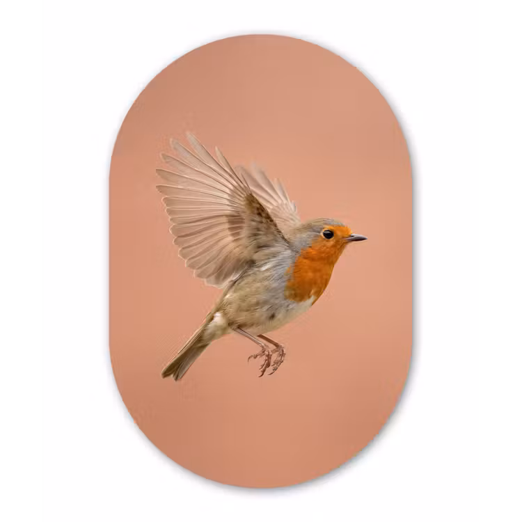 Muurovaal aluminium - Roodborst - Natuur - Roze — 1