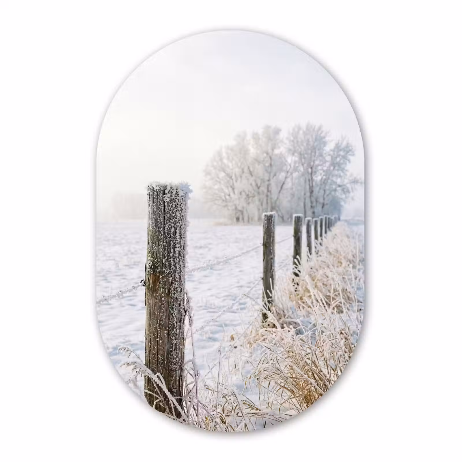 Muurovaal aluminium - Hek - Sneeuw - Mist - Platteland - Nostalgisch — 1