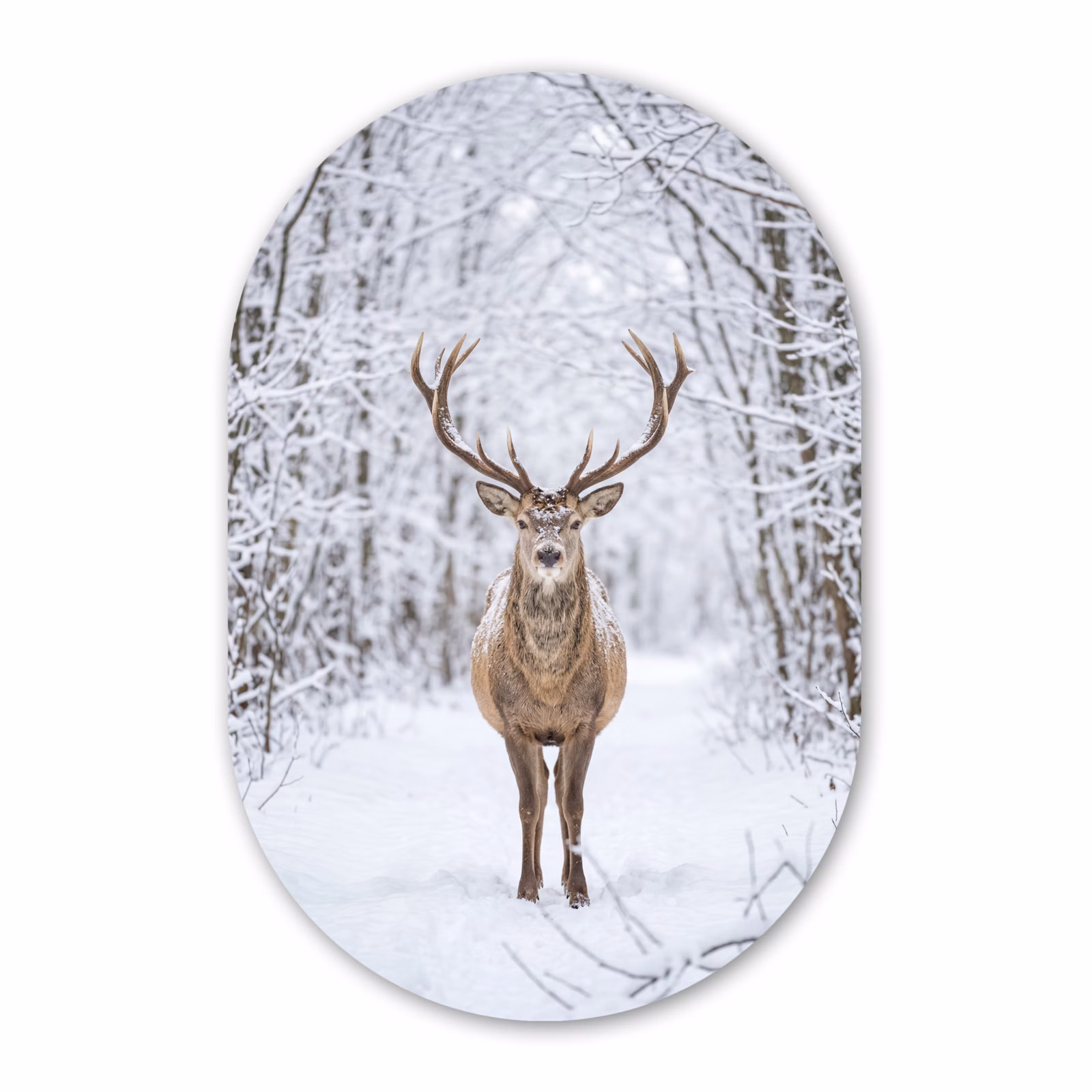 Muurovaal aluminium - Hert - Winter - Bos - Natuur - Wit — 1