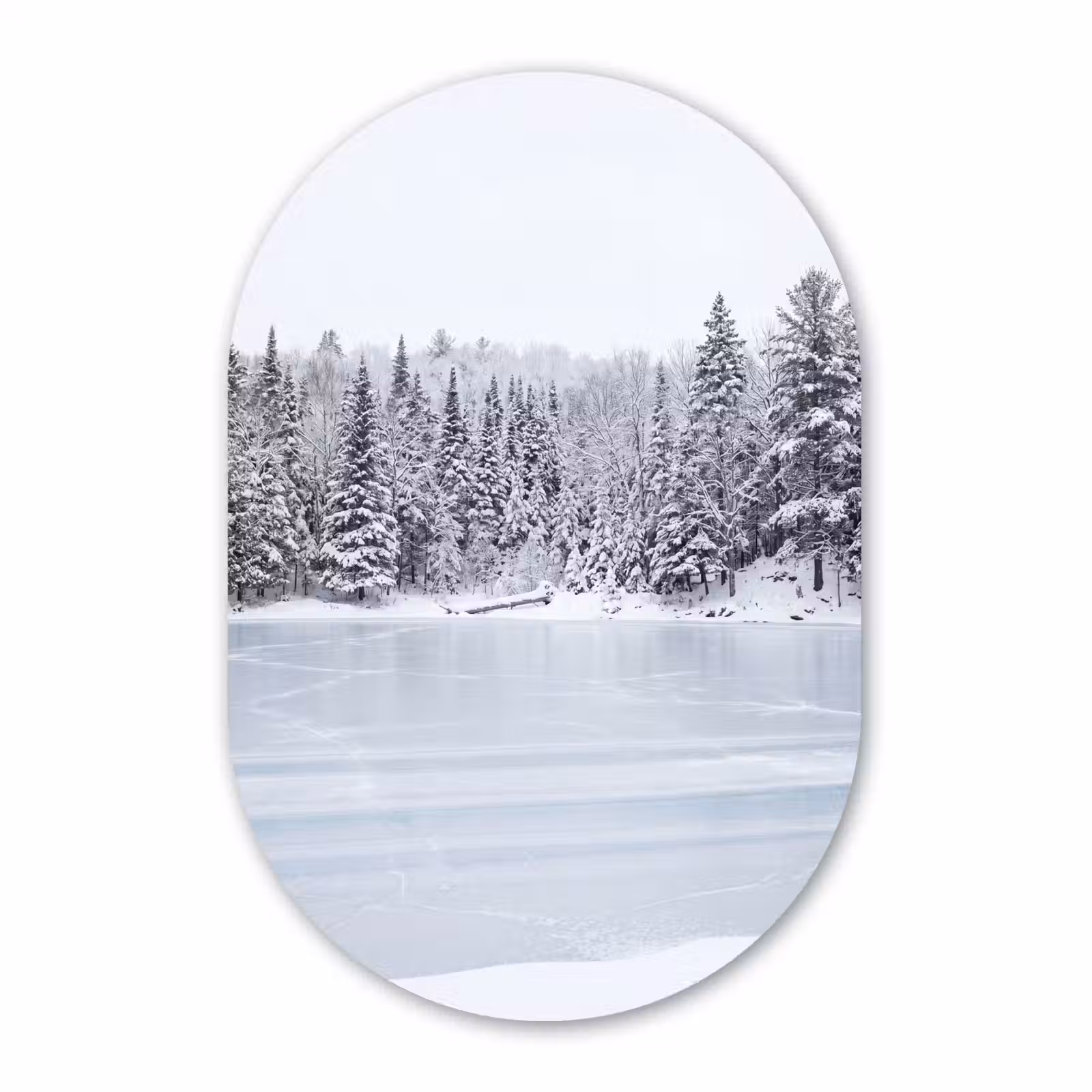 Muurovaal aluminium - Meer - Dennen - IJs - Winter - Rustgevend — 1