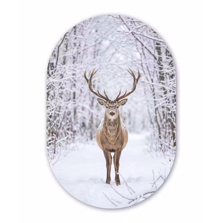 Muurovaal aluminium - Hert - Winter - Bos - Natuur - Wit — 1