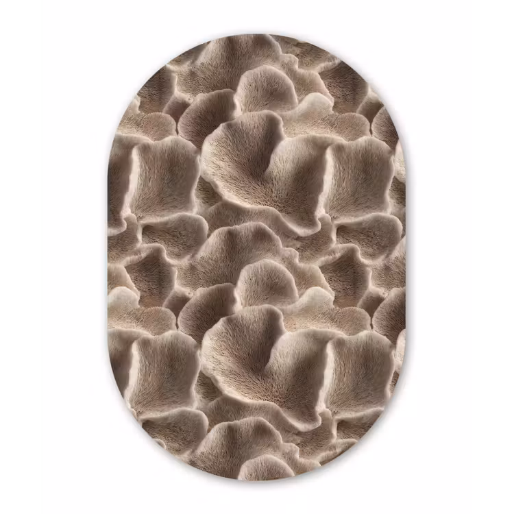 Muurovaal aluminium - Waaiervorm - Beige - Vezel textuur — 1