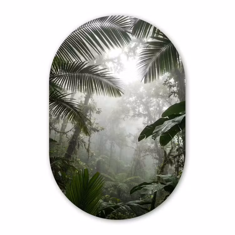 Muurovaal aluminium - Natuur - Jungle - Mist - Groen - Bladeren — 1