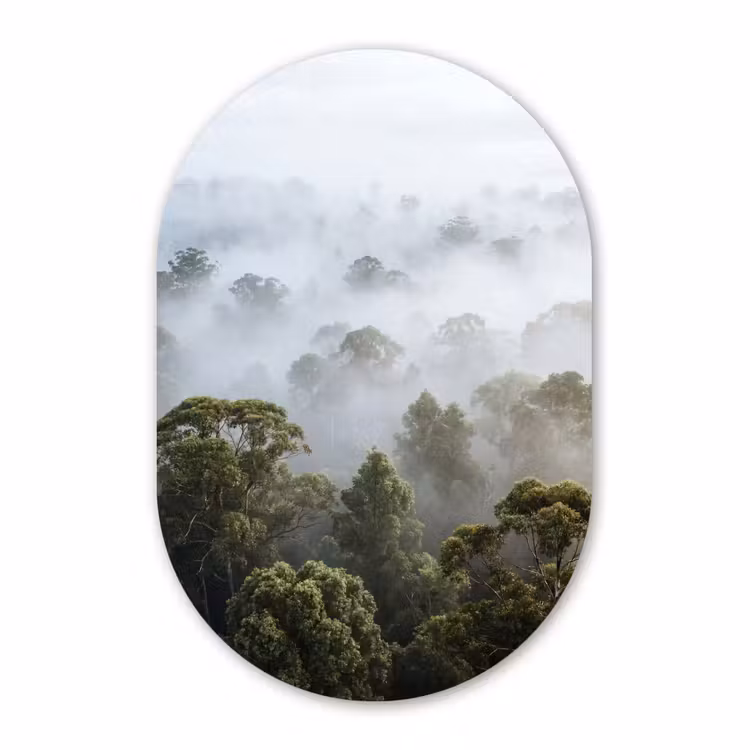 Muurovaal aluminium - Natuur - Mist - Bos - Ochtend - Goud — 1
