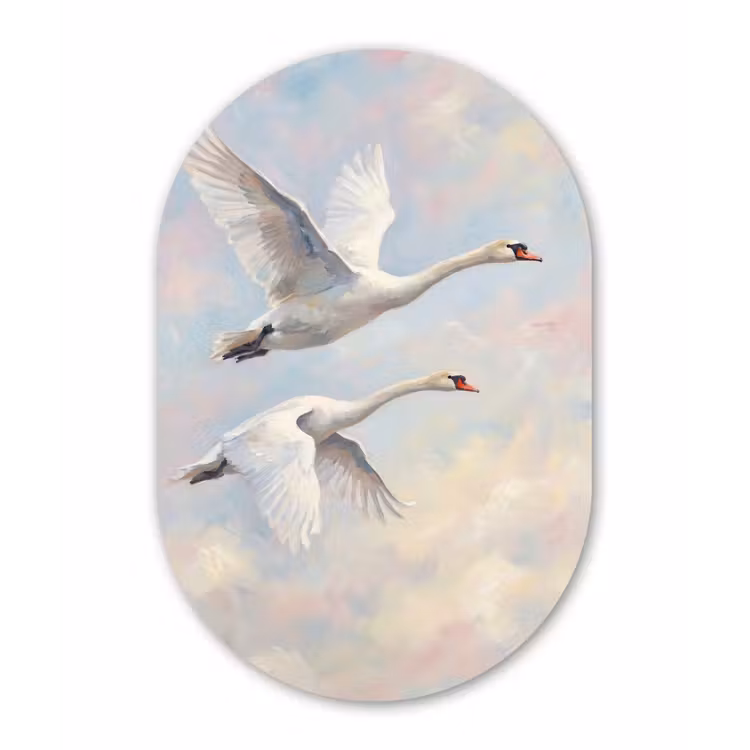 Muurovaal aluminium - Vogel - Vliegend - Lucht - Modern - Pastel — 1