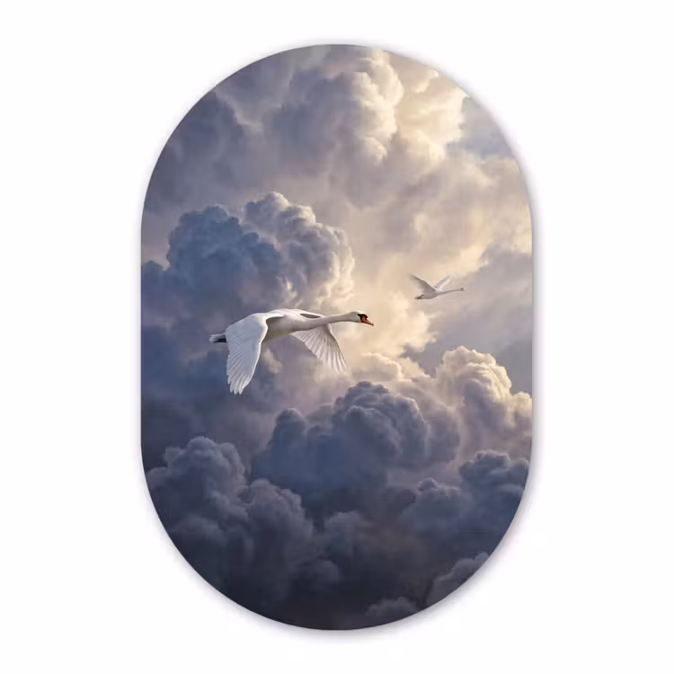 Muurovaal aluminium - Vogel - Vliegend - Natuur - Wit - Wolken — 1