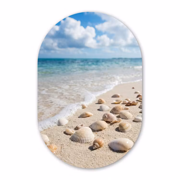 Muurovaal aluminium - Schelpen - Strand - Natuur - Beige — 1