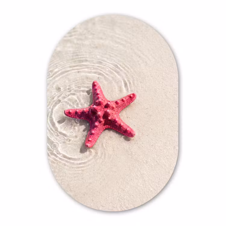 Muurovaal aluminium - Zeeleven - Zeester - Strand - Roze - Water — 1