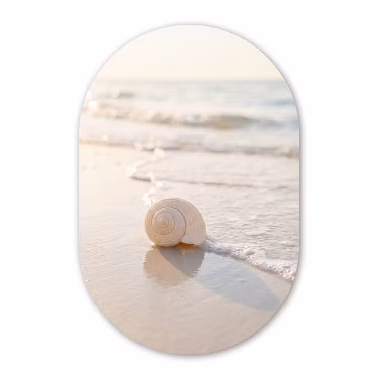Muurovaal aluminium - Zeeschelp - Strand - Zee - Natuur - Beige — 1