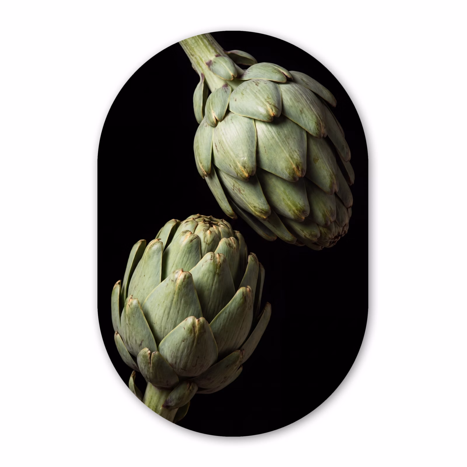 Muurovaal - Glas - Artisjok - Groen - Eten — 1