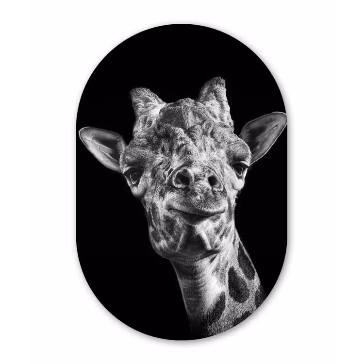 Muurovaal - Kunststof - Giraffe - Dier - Zwart - Wit — 2