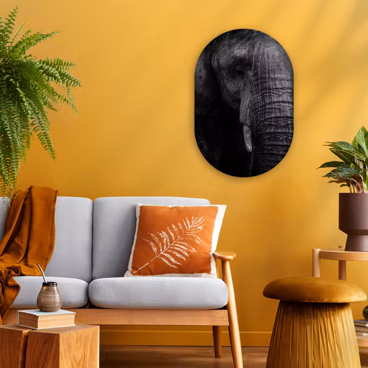 Muurovaal - Kunststof - Olifant - Dier - Portret — 3