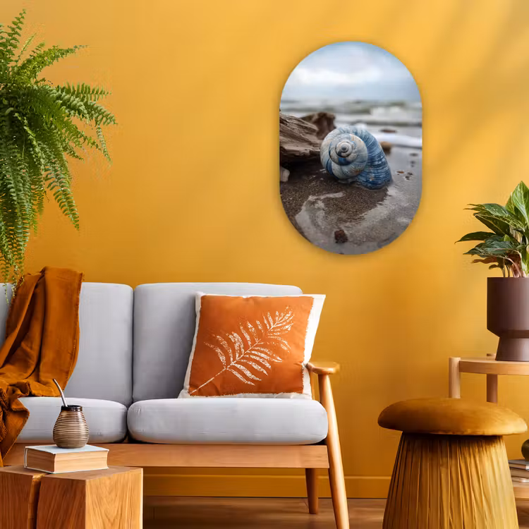 Muurovaal - Kunststof - Schelp - Strand - Blauw - Zee — 2