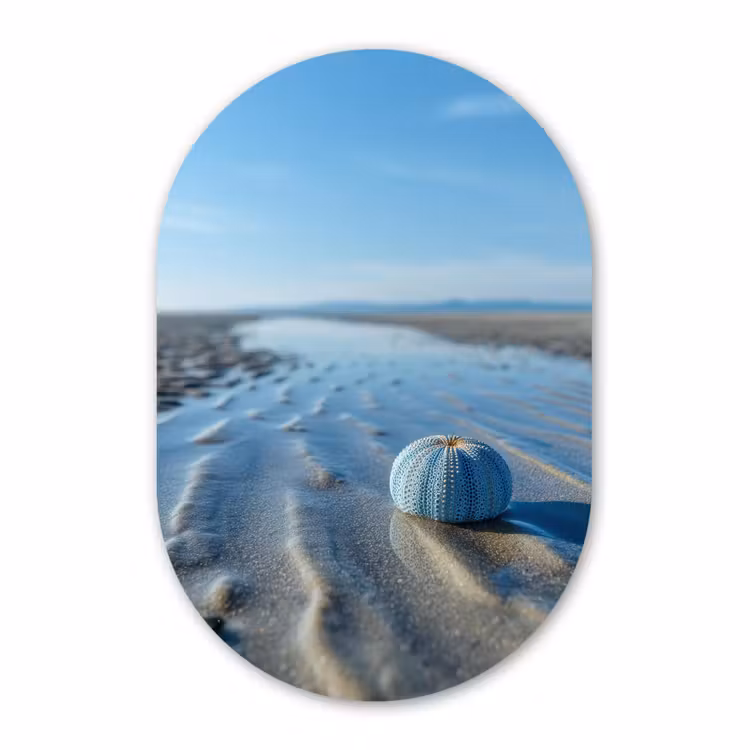 Muurovaal - Kunststof - Strand - Schild - Water - Blauw — 1