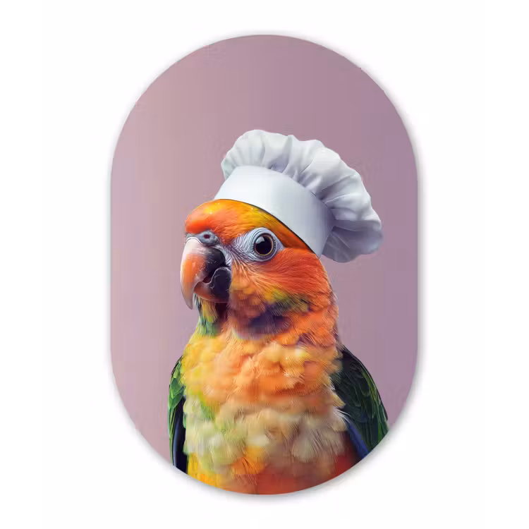 Muurovaal - Kunststof - Papegaai - Koksmuts - Nieuwsgierig - Vogel — 3