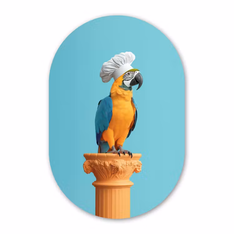 Muurovaal - Kunststof - Papegaai - Koksmuts - Grappig - Vogel — 1