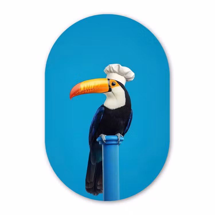 Muurovaal - Kunststof - Tucan - Sokkel - Vogel - Koksmuts — 2