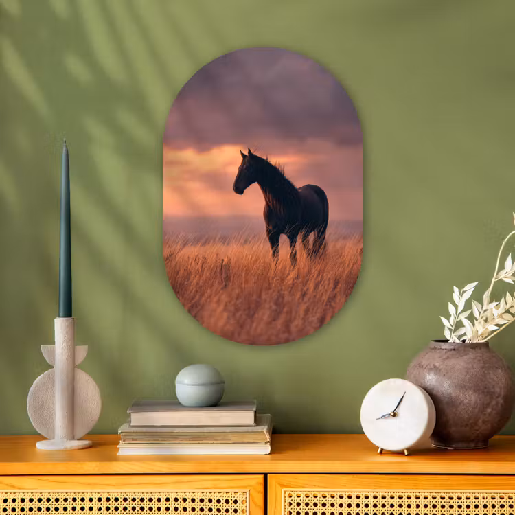 Muurovaal - Kunststof - Paard - Wolken - Open veld — 2