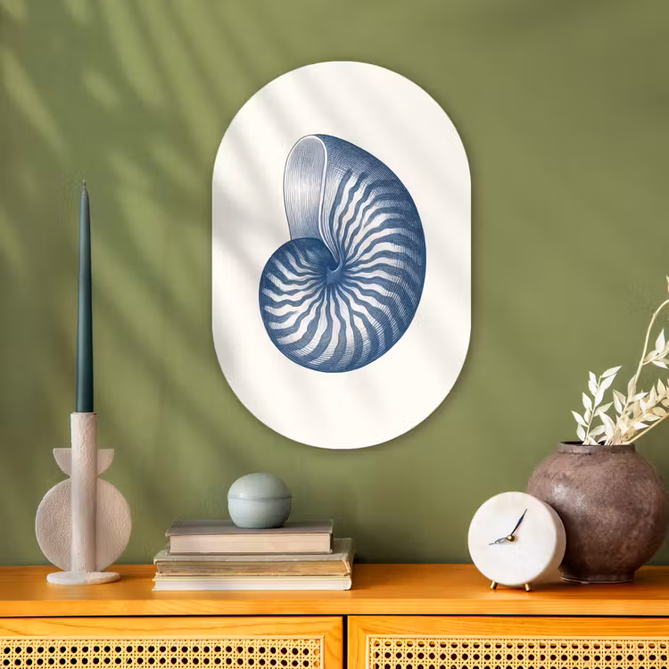 Muurovaal - Kunststof - Blauw - Schelp - Spiraal — 3