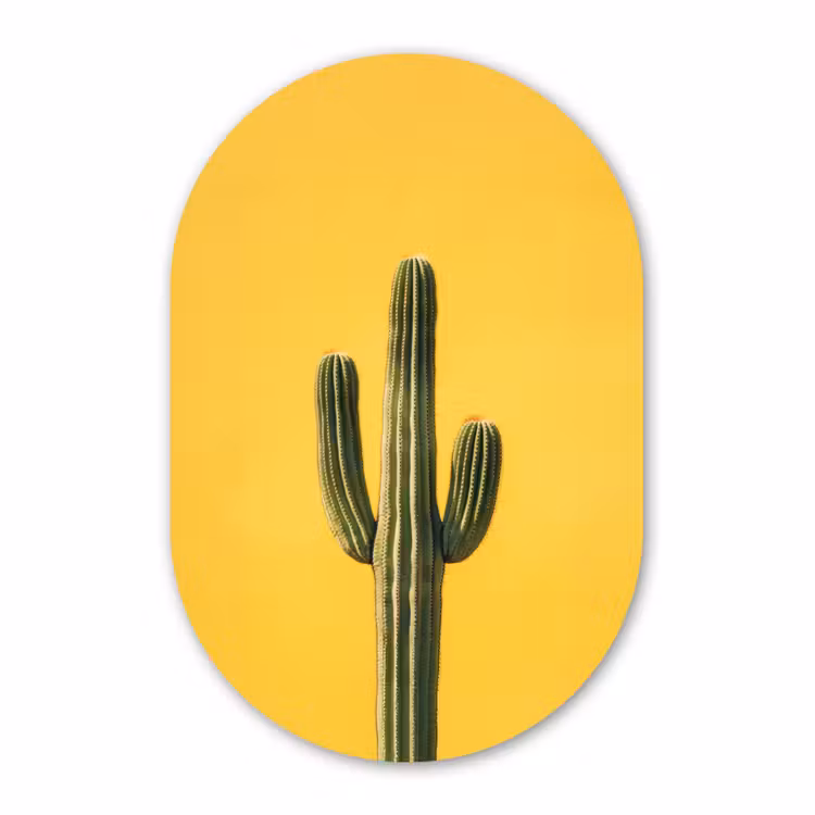 Muurovaal - Kunststof - Cactus - Groen - Minimalistisch — 2