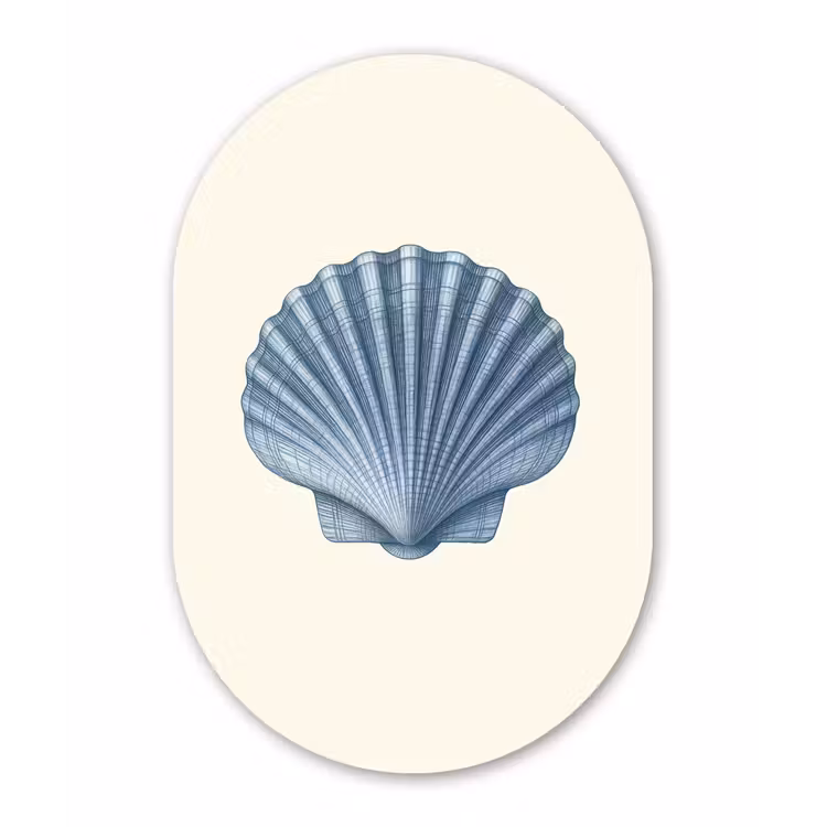 Muurovaal - Kunststof - Ribbels - Blauw - Schelp — 2