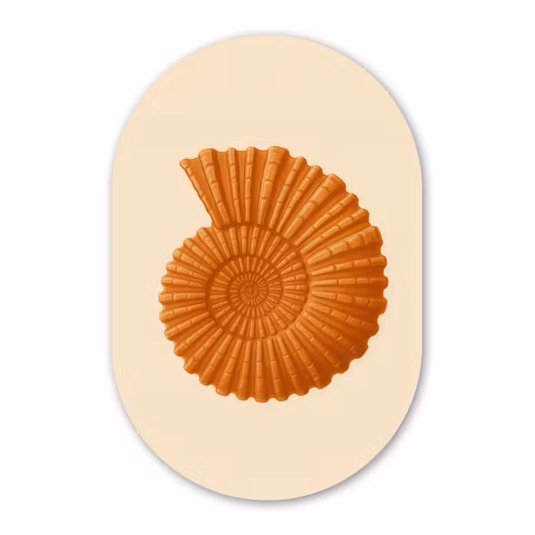 Muurovaal - Kunststof - Schelp - Oranje - Ribbels — 3