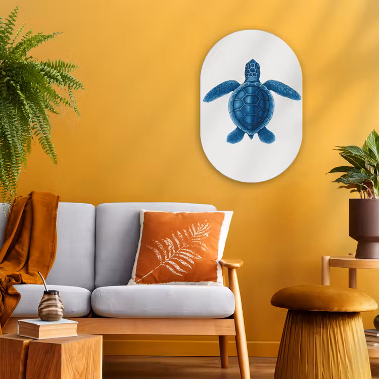 Muurovaal - Kunststof - Schildpad - Blauw - Schild — 1