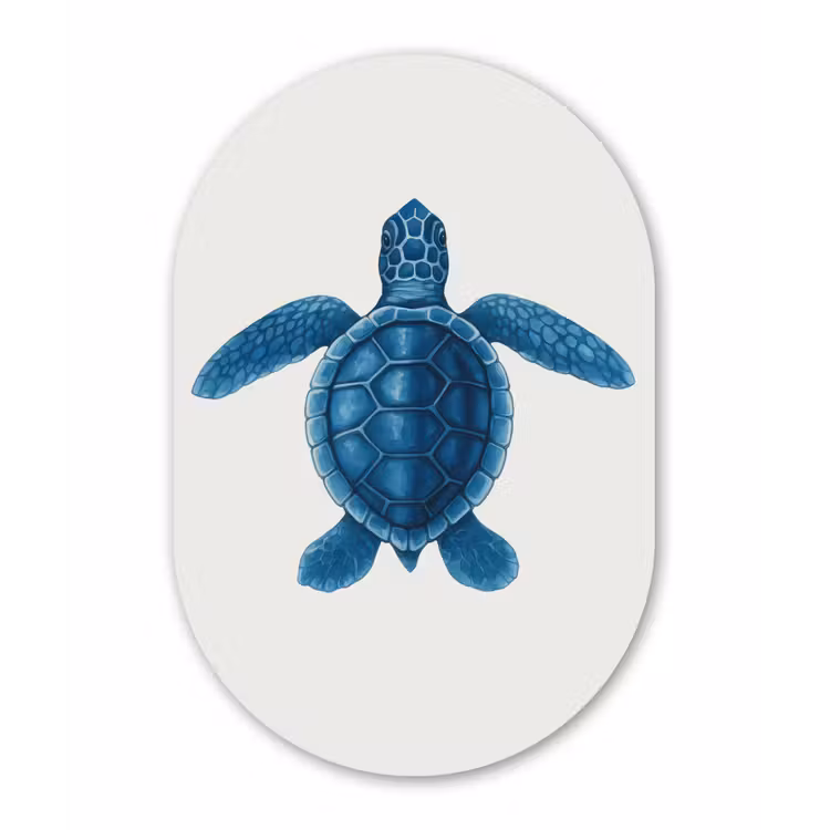 Muurovaal - Kunststof - Schildpad - Blauw - Schild — 2