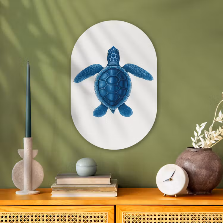 Muurovaal - Kunststof - Schildpad - Blauw - Schild — 3