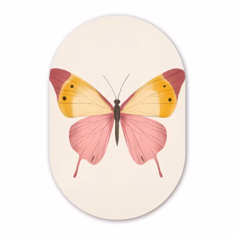 Muurovaal - Kunststof - Vlinder - Illustratie - Roze — 3