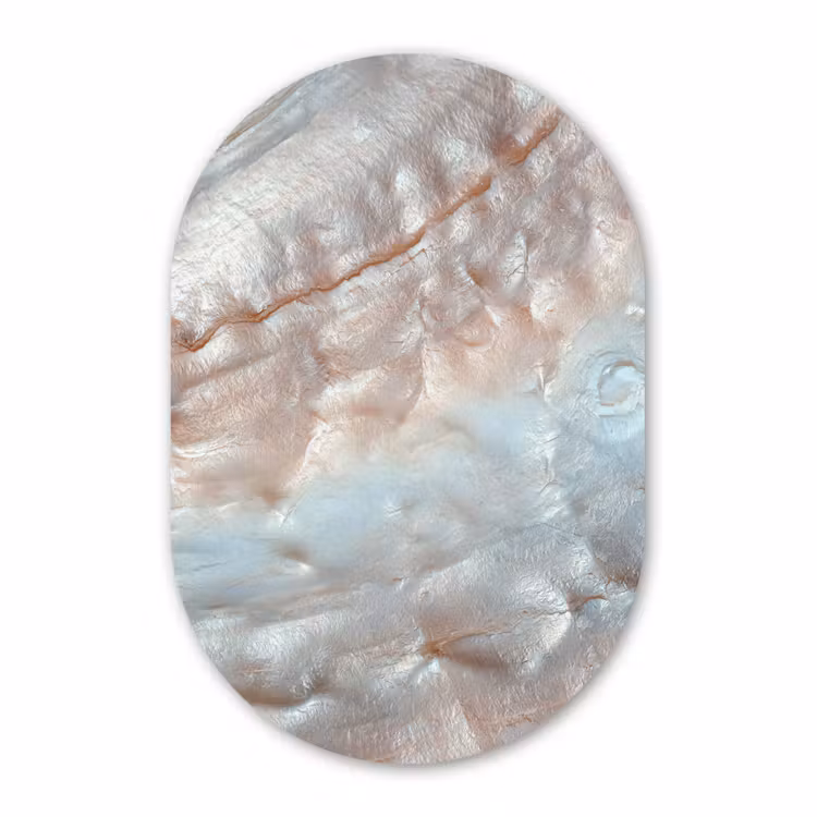 Muurovaal - Kunststof - Schelpen - Abstract - Natuur — 2