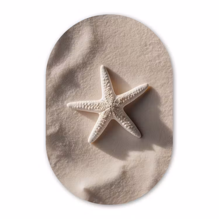 Muurovaal - Kunststof - Strand - Zeester - Zand - Beige — 2