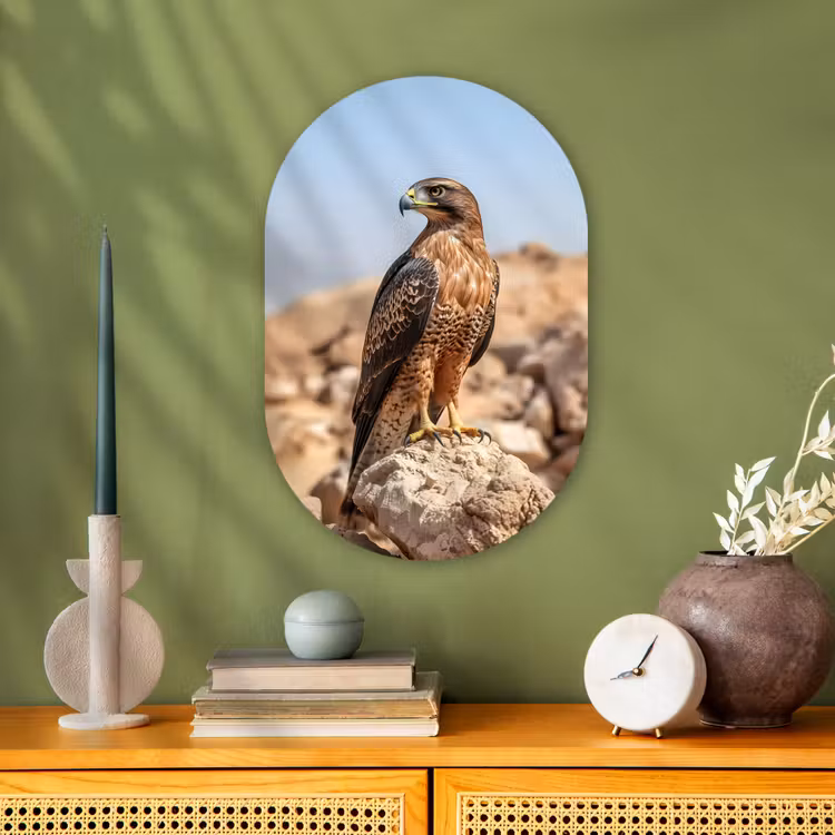 Muurovaal - Kunststof - Valk - Vogel - Rots - Macht — 2