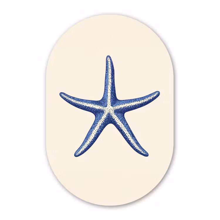 Muurovaal - Kunststof - Blauwe zeester - Minimalistisch - Beige — 3