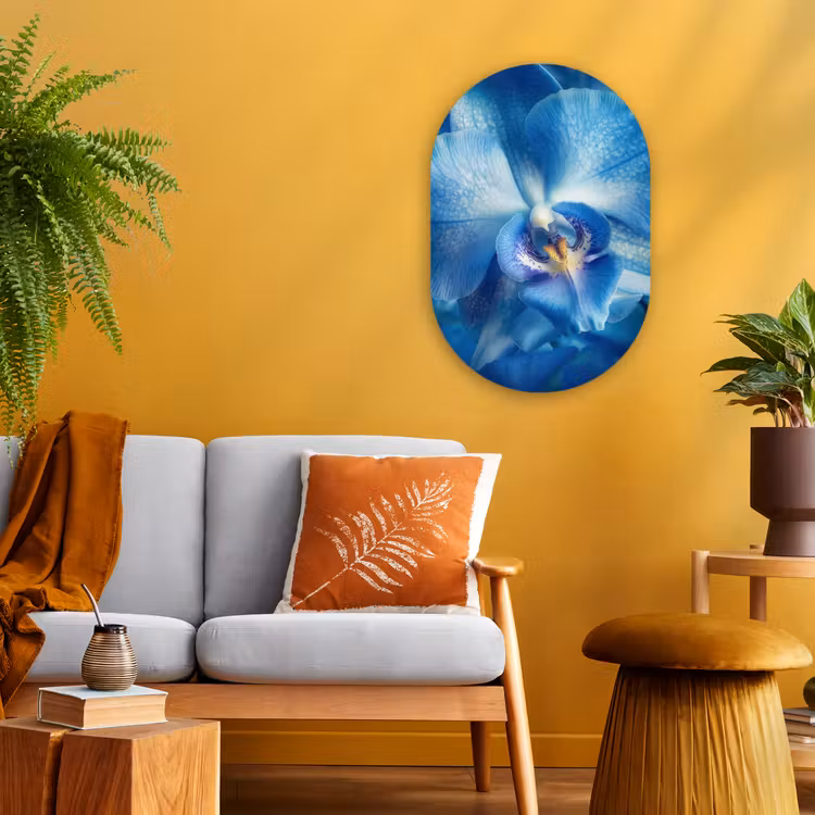 Muurovaal - Kunststof - Blauw - Orchidee - Elegeant — 1