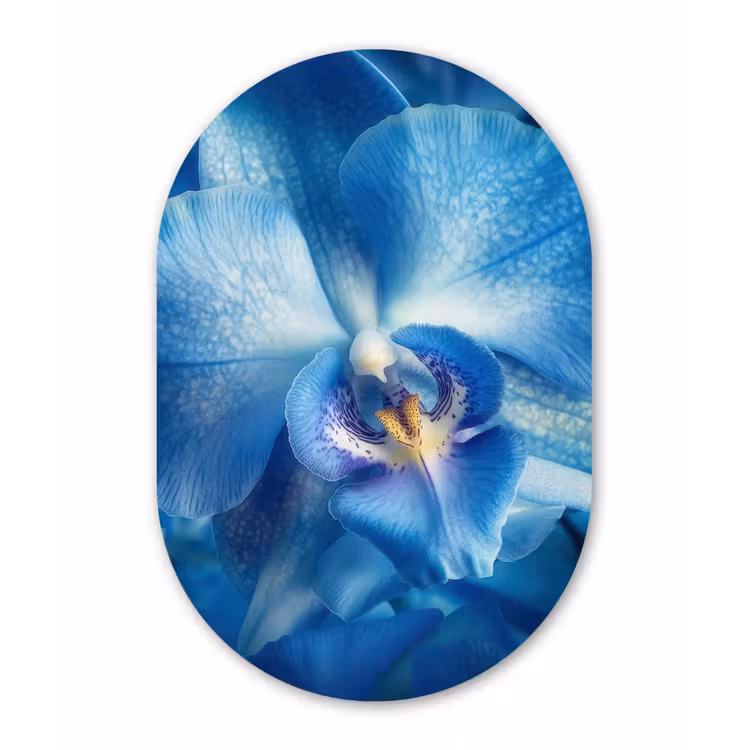 Muurovaal - Kunststof - Blauw - Orchidee - Elegeant — 3