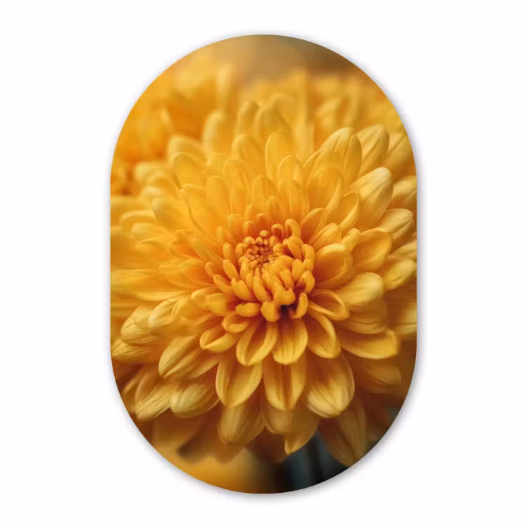 Muurovaal - Kunststof - Geel - Chrysant - Zachtheid — 3