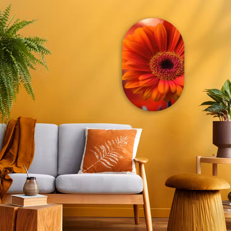 Muurovaal - Kunststof - Oranje - Gerbera - Intens — 1